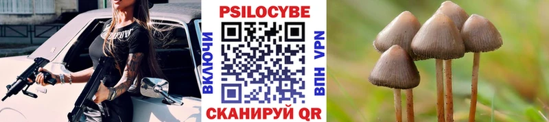 Псилоцибиновые грибы мухоморы  Михайлов 